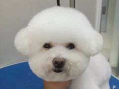 -心仪动物医院·牙专科·肿瘤·心脏科(西客站院)