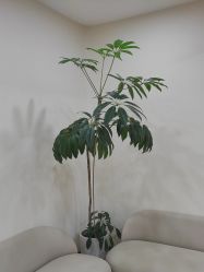 -HEYAN荷妍专业脱毛连锁机构