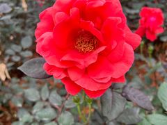 -人民公园(罗湖区)