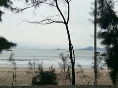 -马銮湾景区