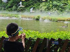 -广州长隆飞鸟乐园