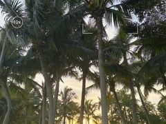 -深圳湾公园(南山区)