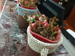 -广州保龄球馆(广州天河体育中心店)