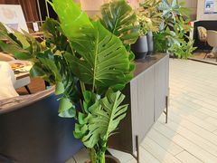 -必胜客(长安长青店)