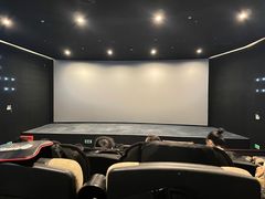 -深影国际影城(学院南路店CGS中国巨幕店)