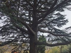 -青岛德国总督楼旧址博物馆