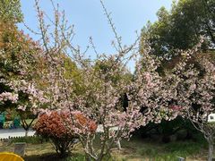 -滨湖塘西河公园
