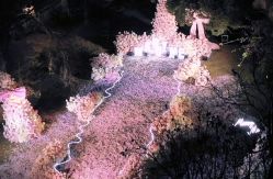 -玖玖婚嫁礼仪策划(江滨西路店)