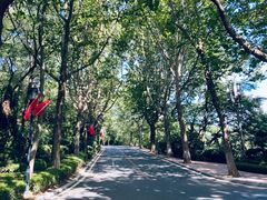 -棒棰岛宾馆景区