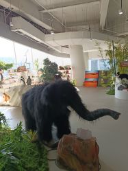 点击看大图 -IMON·HANSA潮玩玩偶毛绒玩具(通州万象汇店)