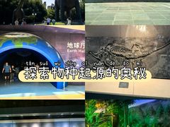 -安徽省地质博物馆