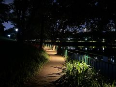 -深圳龙潭公园