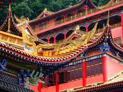 -东莞市大岭山森林公园