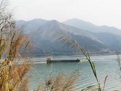 -羚羊峡古栈道森林公园