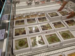 -茶颜悦色(嘉顿一楼吉时赏味游园会店)