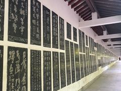 -许慎文化园
