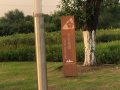 -九里河湿地公园
