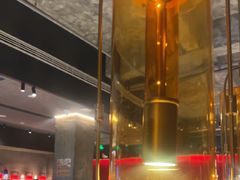 -大鸭梨烤鸭(望京店)