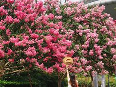 -杭州城北体育公园