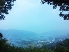 -鱼乐岛餐厅·户外花园主题餐厅