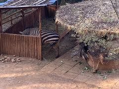 -昆明动物园
