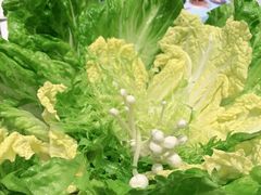 -红鼎豆捞·非遗鲍皇汤火锅(宝丰路店)