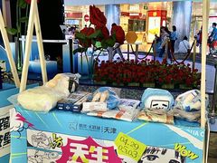 -鹏欣水游城