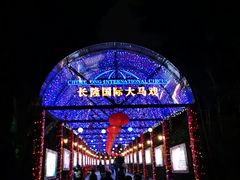 -广州长隆国际大马戏