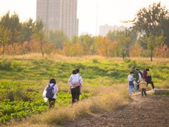 -汉长安城未央宫国家考古遗址公园