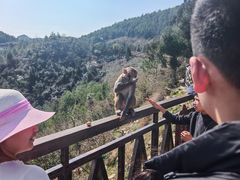 -重庆云阳龙缸景区
