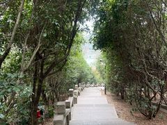 -狼山风景名胜区