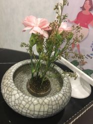 点击看大图 -金夫人美容