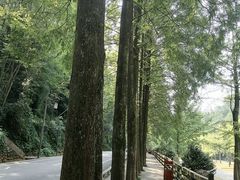 -青城山