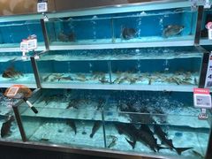 -盒马鲜生(枣园路店)