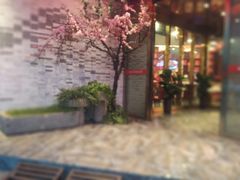 -解家河南菜(商鼎路店)