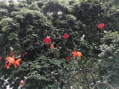 -天河领展广场