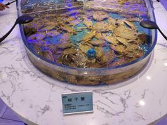 -澜悦港海鲜体验主题餐厅