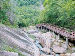 -广州白江湖森林公园