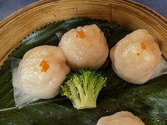 虾饺-纳福苑(亮庆餐饮分店)