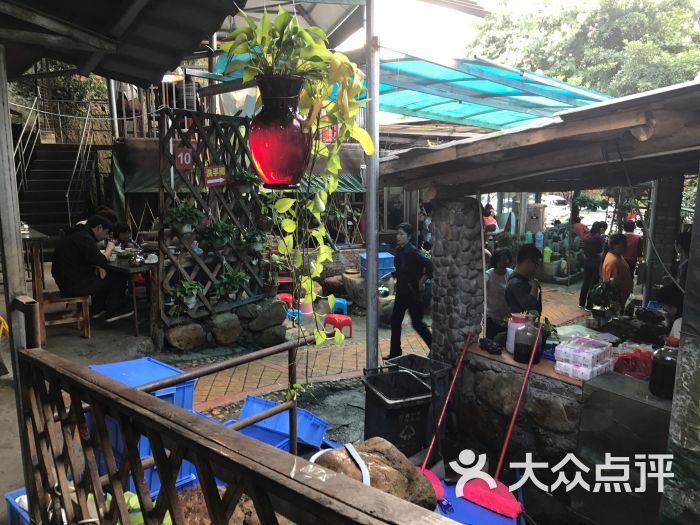 桃姐农庄(总店)--环境图片-从化区美食-大众点评网