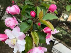 -大兴滨河森林公园