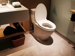 -深圳国际会展中心希尔顿酒店(前海华发冰雪世界店)