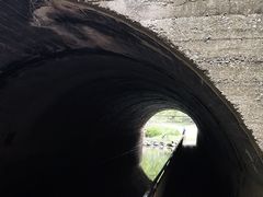 -白水寺森林公园