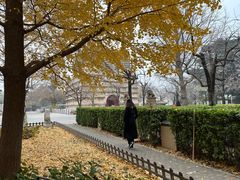 -北京石刻艺术博物馆(五塔寺)