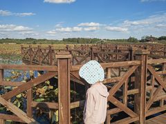 -上海海湾国家森林公园