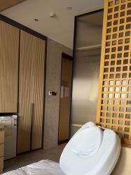 -禧月荟S月子中心(侨城店)