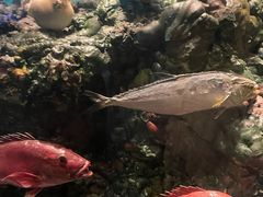 -天津自然博物馆