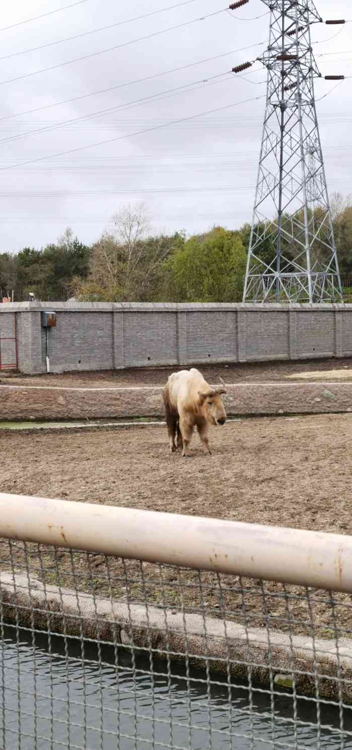 齊齊哈爾龍沙動植物園