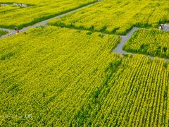 -汉长安城未央宫国家考古遗址公园