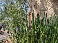 -北京植物园-展览温室